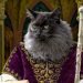 The Hierophant, a Major Arcana card from our new Cat Tarot